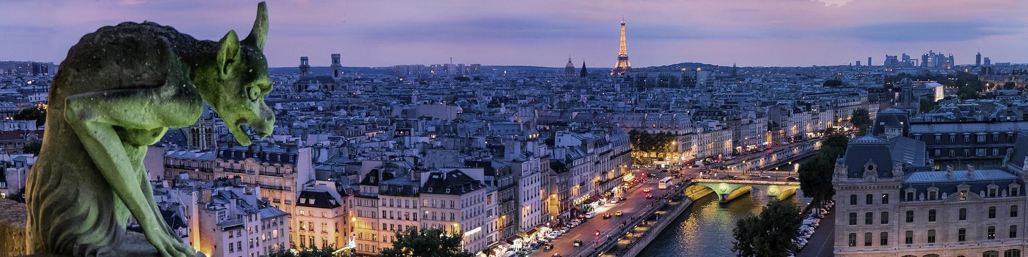 Gargoyle overlooking Paris at night